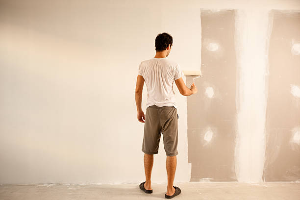 Reliable Steilacoom, WA Dry wall and painting Solutions